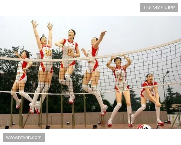 北京排球队的拼搏历程与冠军赛背后的奋斗故事